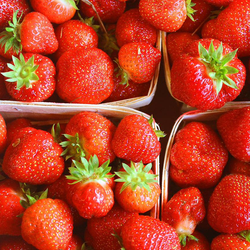 Blake Hill Strawberry Rhubarb Preserve 10.8oz