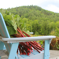 Blake Hill Strawberry Rhubarb Preserve 10.8oz